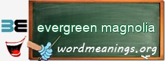 WordMeaning blackboard for evergreen magnolia
